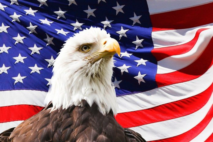 flaga USA z biały orłem